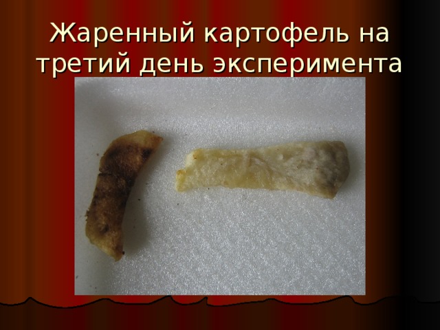 Жаренный картофель на третий день эксперимента