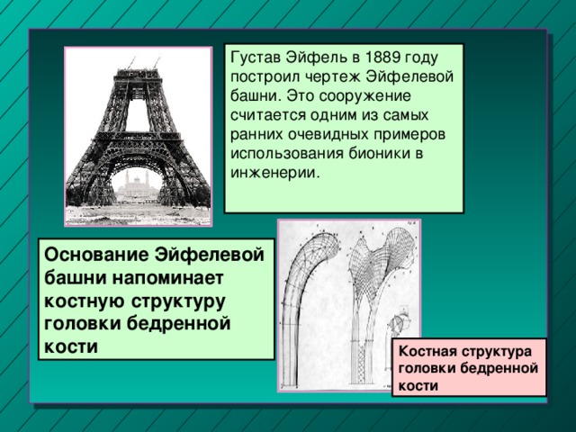 Густав Эйфель в 1889 году построил чертеж Эйфелевой башни. Это сооружение считается одним из самых ранних очевидных примеров использования бионики в инженерии. Основание Эйфелевой башни напоминает костную структуру головки бедренной кости Костная структура головки бедренной кости