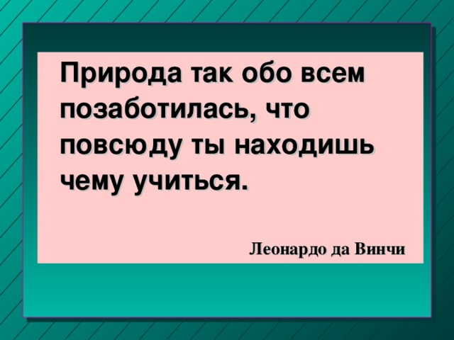 Природа так обо всем позаботилась, что повсюду ты находишь чему учиться. Леонардо да Винчи