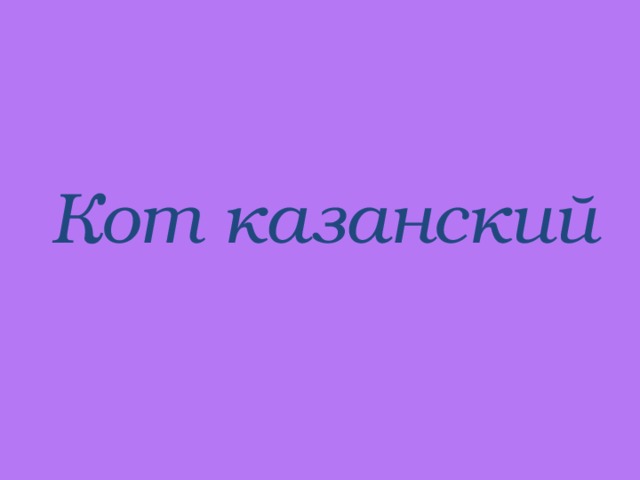 Кот казанский