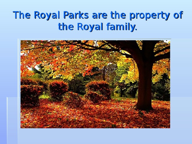 The Royal Parks are the property of the Royal family.