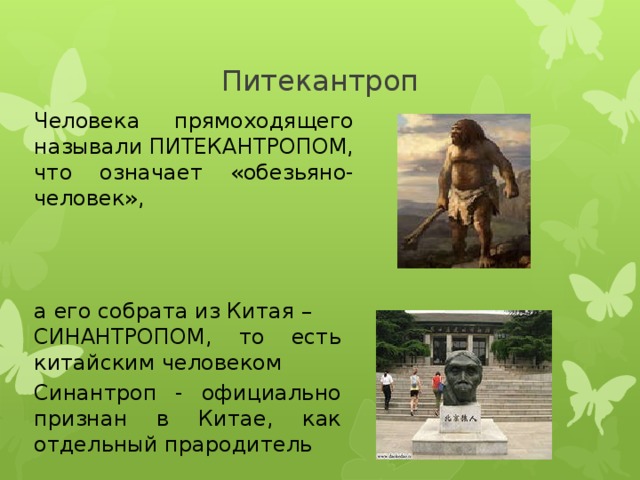 Питекантроп Человека прямоходящего называли ПИТЕКАНТРОПОМ, что означает «обезьяно-человек», а его собрата из Китая – СИНАНТРОПОМ, то есть китайским человеком Синантроп - официально признан в Китае, как отдельный прародитель