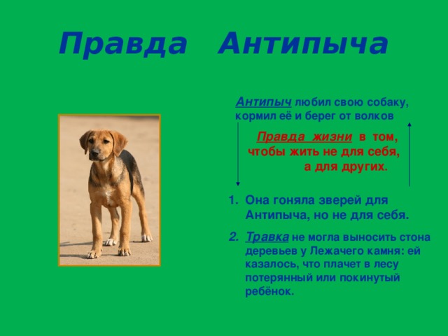Правда Антипыча Антипыч любил свою собаку, кормил её и берег от волков  Правда жизни в том, чтобы жить не для себя, а для других .