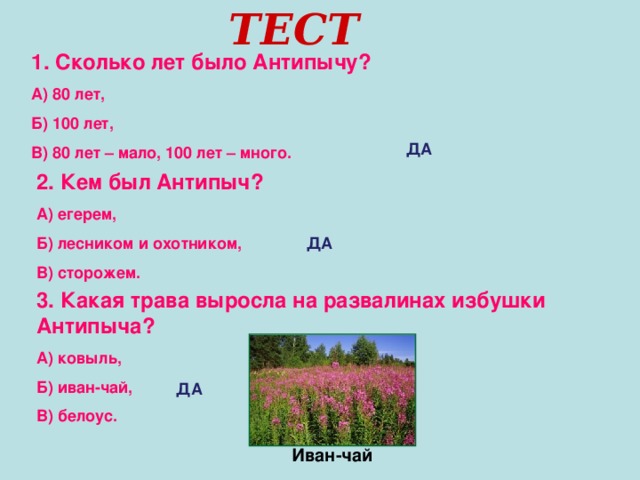 ТЕСТ Сколько лет было Антипычу? А) 80 лет, Б) 100 лет, В) 80 лет – мало, 100 лет – много. ДА 2. Кем был Антипыч? А) егерем, Б) лесником и охотником, В) сторожем. ДА 3. Какая трава выросла на развалинах избушки Антипыча? А) ковыль, Б) иван-чай, В) белоус. ДА Иван-чай