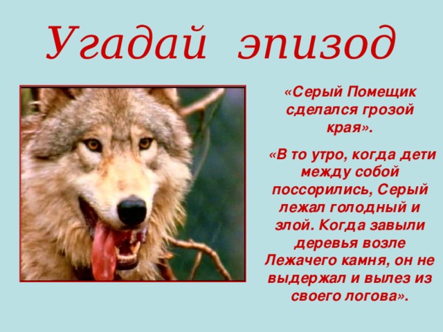 Угадай эпизод «Серый Помещик сделался грозой края».  «В то утро, когда дети между собой поссорились, Серый лежал голодный и злой. Когда завыли деревья возле Лежачего камня, он не выдержал и вылез из своего логова».