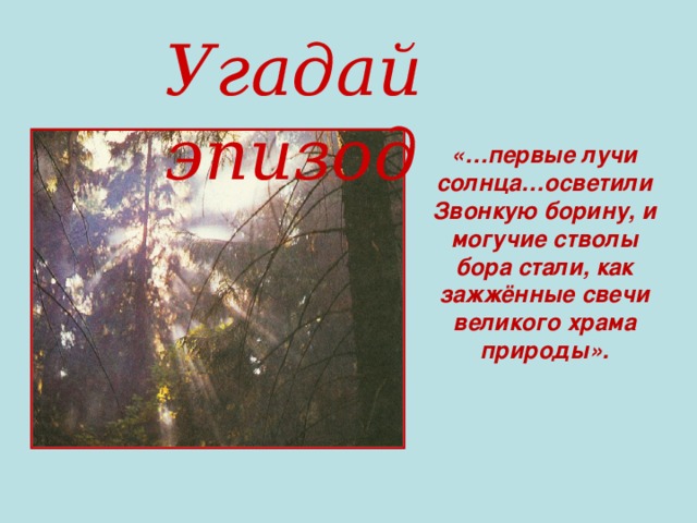 Угадай эпизод «…первые лучи солнца…осветили Звонкую борину, и могучие стволы бора стали, как зажжённые свечи великого храма природы».