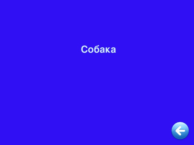 Собака