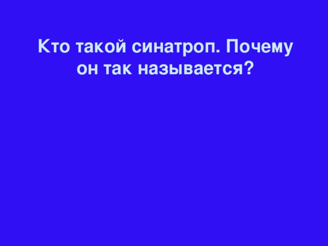 Кто такой синатроп. Почему он так называется?