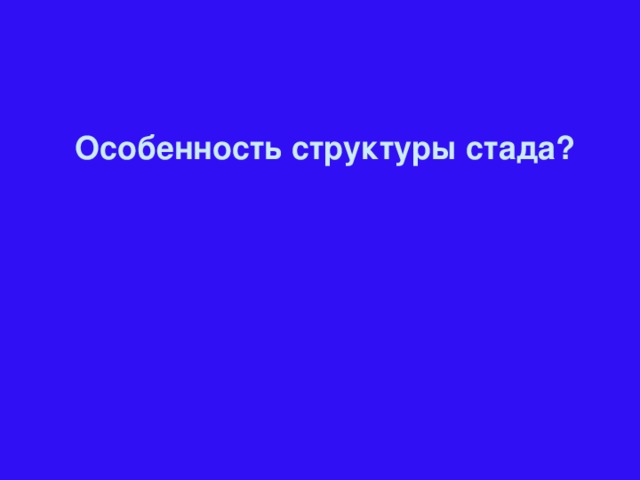 Особенность структуры стада?