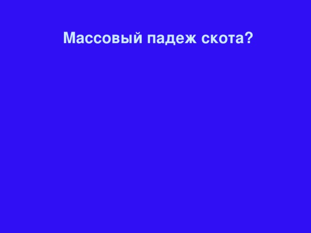 Массовый падеж скота?