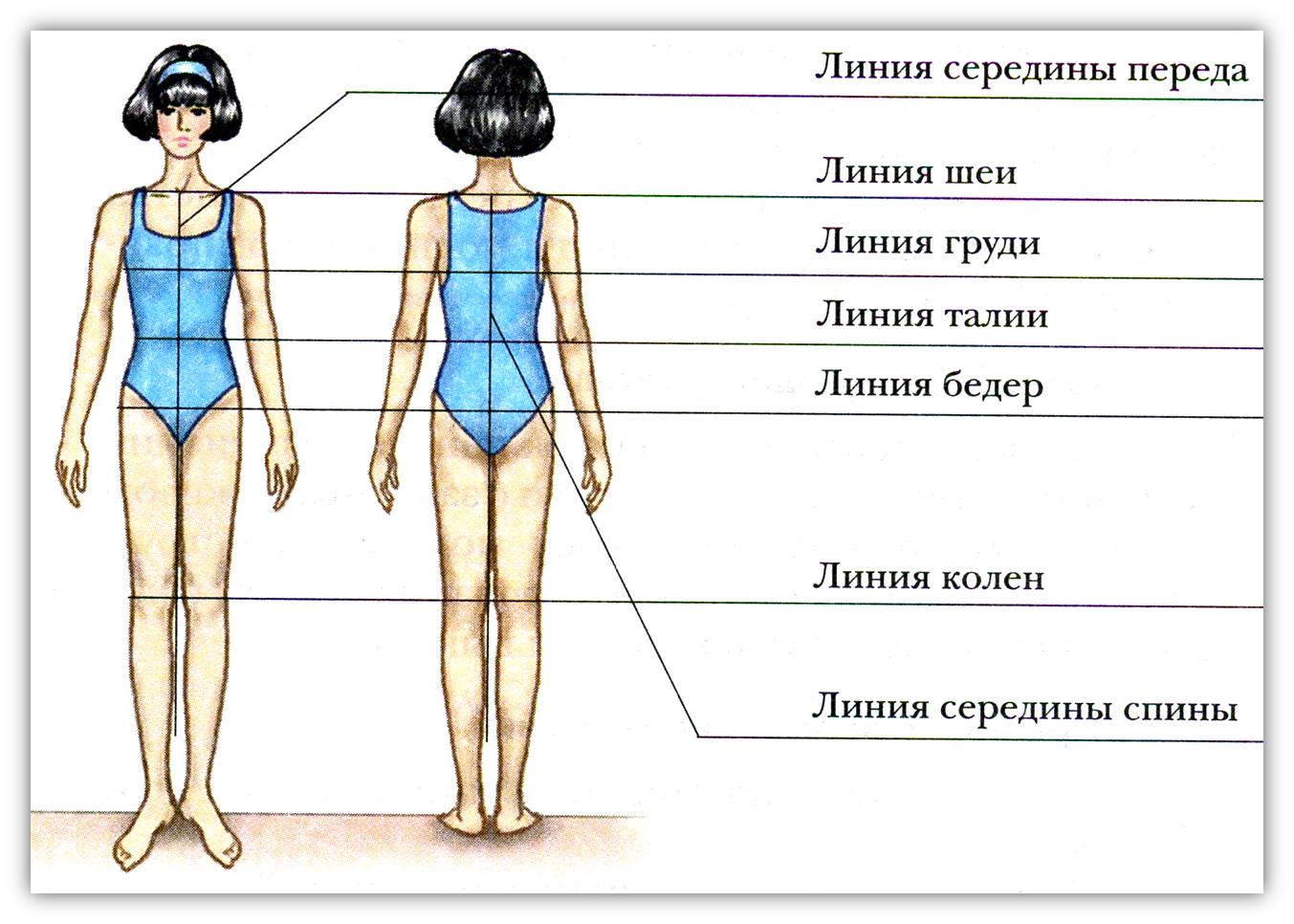 Горизонтальные линии фигуры. Основные линии фигуры человека для снятия мерок. Конструктивные линии фигуры. Основные конструктивные линии фигуры человека. Основные конструктивные линии.