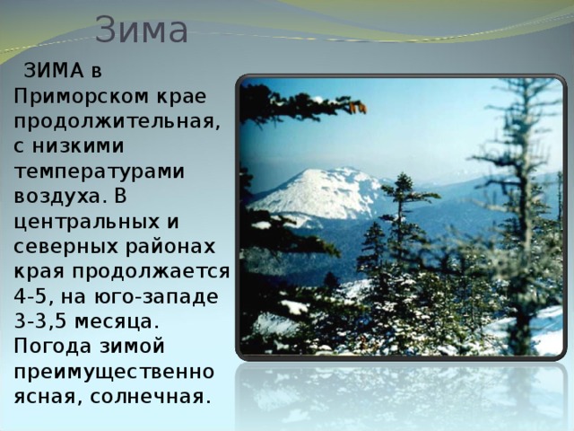 Зима  ЗИМА в Приморском крае продолжительная, с низкими температурами воздуха. В центральных и северных районах края продолжается 4-5, на юго-западе 3-3,5 месяца. Погода зимой преимущественно ясная, солнечная.