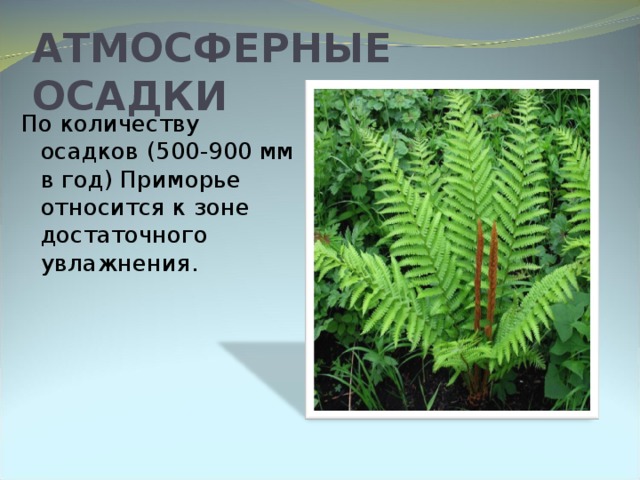 АТМОСФЕРНЫЕ ОСАДКИ   По количеству осадков (500-900 мм в год) Приморье относится к зоне достаточного увлажнения.