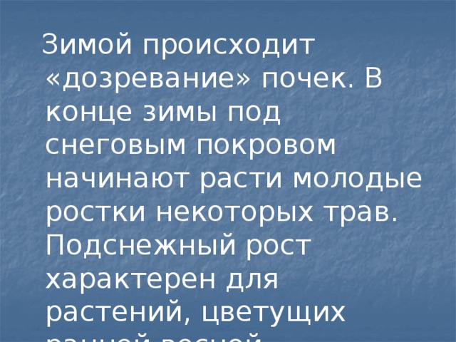 Зимой происходит «дозревание» почек. В конце зимы под снеговым покровом начинают расти молодые ростки некоторых трав. Подснежный рост характерен для растений, цветущих ранней весной .