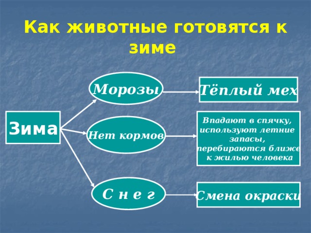 Как животные готовятся к зиме Морозы Тёплый мех Зима  Впадают в спячку, используют летние запасы, перебираются ближе  к жилью человека  Нет кормов С н е г Смена окраски