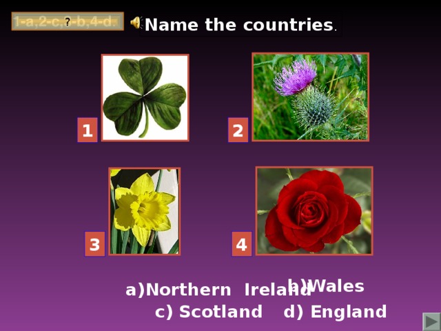 1-a,2-c,3-b,4-d . Name the countries . ? 2 1 3 4 b)Wales a)Northern Ireland d) England c) Scotland