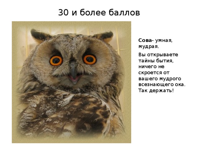 30 и более баллов  Сова - умная, мудрая. Вы открываете тайны бытия, ничего не скроется от вашего мудрого всезнающего ока. Так держать!