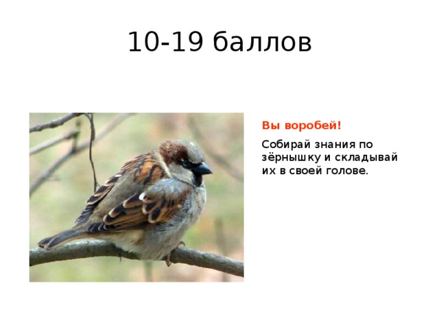 10-19 баллов Вы воробей! Собирай знания по зёрнышку и складывай их в своей голове.