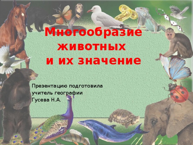 Урок многообразие животных. Многообразие животных. Многообразие животных и их значение. Математика в мире животных презентация.