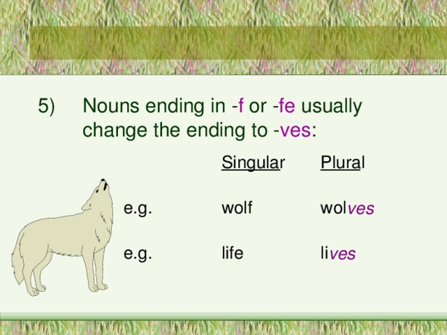 5)  Nouns ending in - f or - fe usually   change the ending to - ves : wol ves li ves