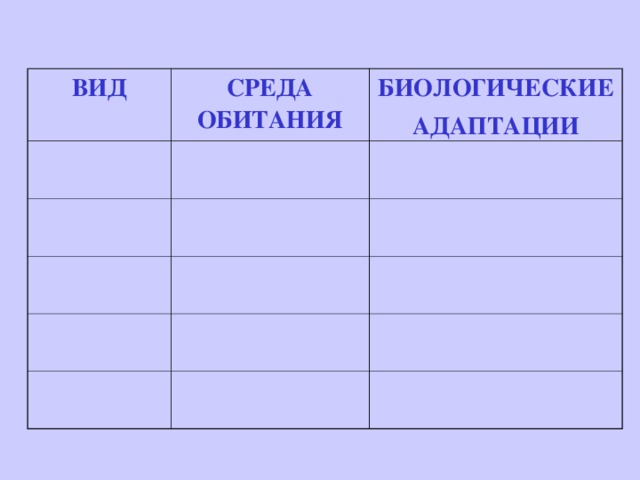 ВИД СРЕДА ОБИТАНИЯ БИОЛОГИЧЕСКИЕ АДАПТАЦИИ