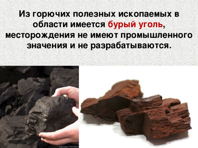 Из горючих полезных ископаемых в области имеется бурый уголь , месторождения не имеют промышленного значения и не разрабатываются.