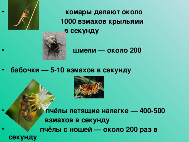 комары делают около  1000 взмахов крыльями  в секунду   шмели — около 200   бабочки — 5-10 взмахов в секунду     пчёлы летящие налегке — 400-500  взмахов в секунду  пчёлы с ношей — около 200 раз в секунду