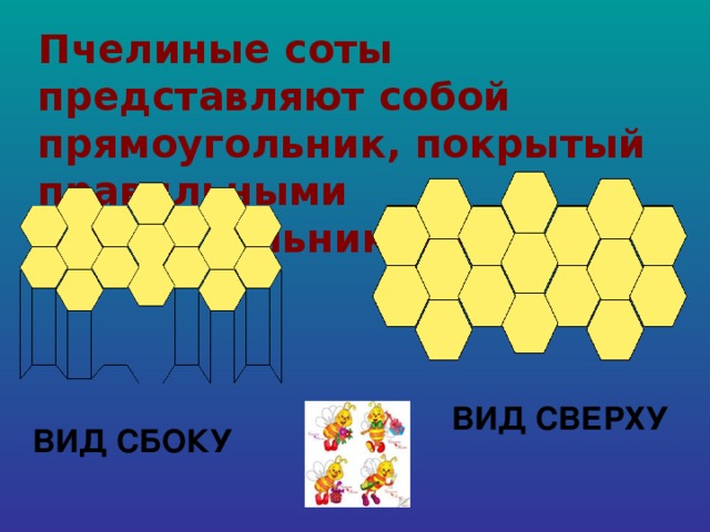 Чертеж пчелиной соты