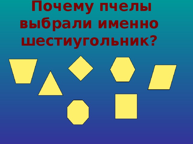 Почему пчелы выбрали именно шестиугольник?