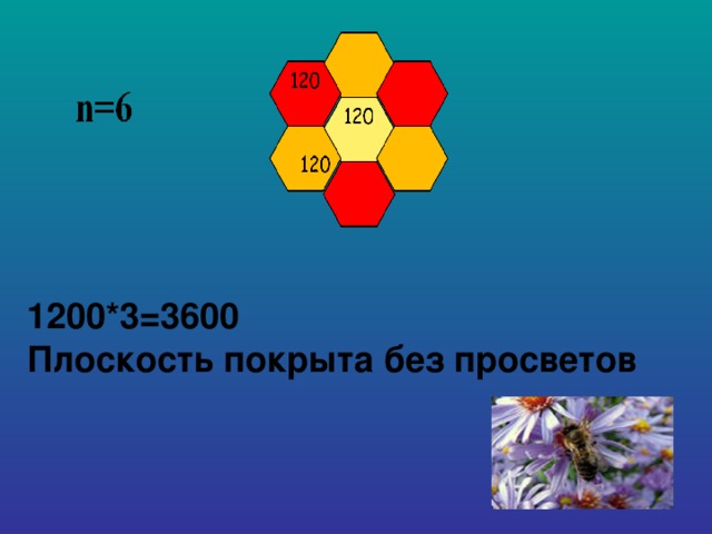 1200*3=3600 Плоскость покрыта без просветов