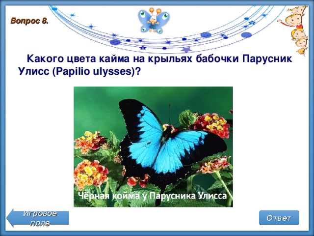 Вопрос 8.  Какого цвета кайма на крыльях бабочки Парусник Улисс (Papilio ulysses)?     Игровое поле Ответ