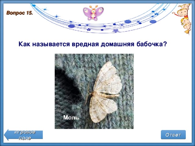Вопрос 15. Как называется вредная домашняя бабочка? Игровое поле Ответ