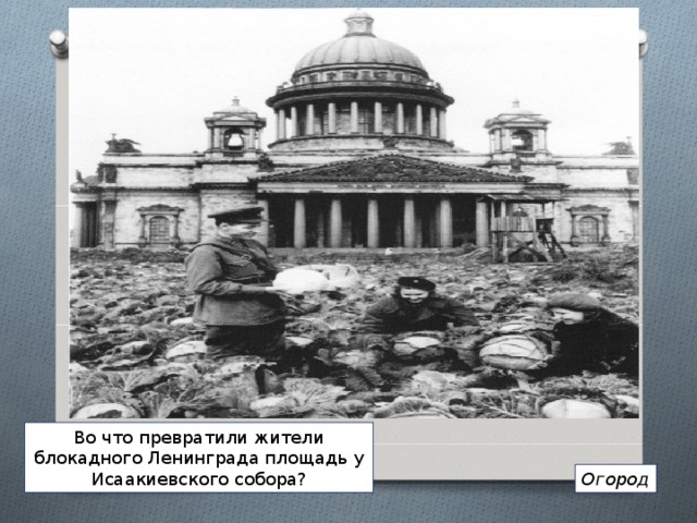 Во что превратили жители блокадного Ленинграда площадь у Исаакиевского собора? Огород