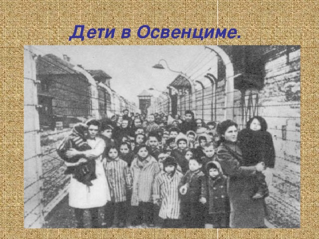 Дети в Освенциме.