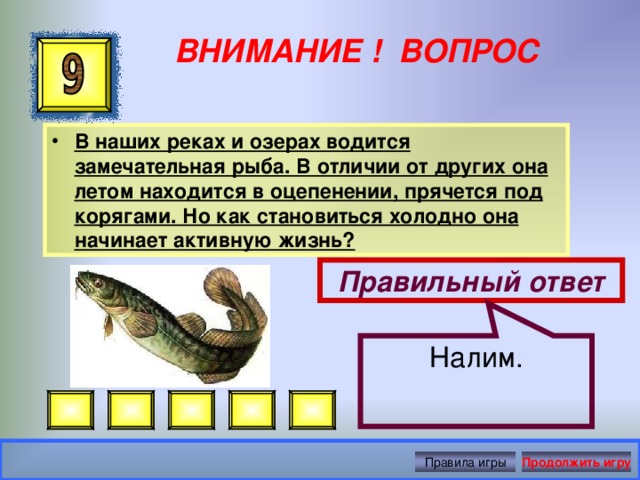 Налим. ВНИМАНИЕ ! ВОПРОС В наших реках и озерах водится замечательная рыба. В отличии от других она летом находится в оцепенении, прячется под корягами. Но как становиться холодно она начинает активную жизнь? Правильный ответ Правила игры Продолжить игру