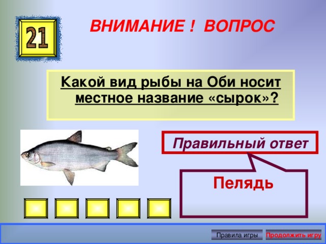 Пелядь   ВНИМАНИЕ ! ВОПРОС Какой вид рыбы на Оби носит местное название «сырок»? Правильный ответ Правила игры Продолжить игру