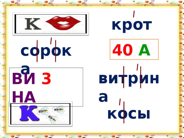 крот 40 А сорока витрина ВИ 3 НА косы