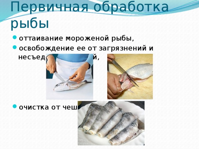 Обработка рыбы. Схема первичной обработки рыбы.
