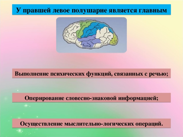 У правшей левое полушарие является главным Выполнение психических функций, связанных с речью; Оперирование словесно-знаковой информацией; Осуществление мыслительно-логических операций.