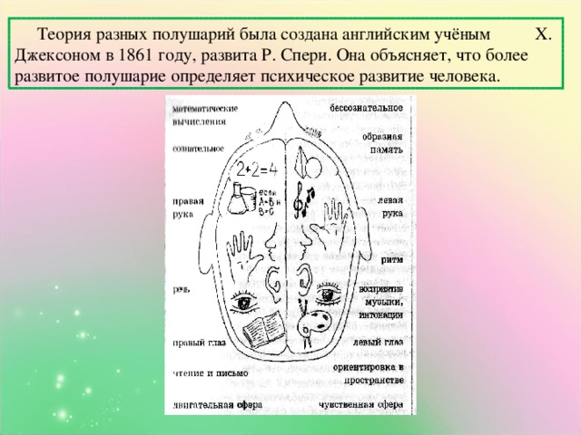 Теория разных полушарий была создана английским учёным Х. Джексоном в 1861 году, развита Р. Спери. Она объясняет, что более развитое полушарие определяет психическое развитие человека.