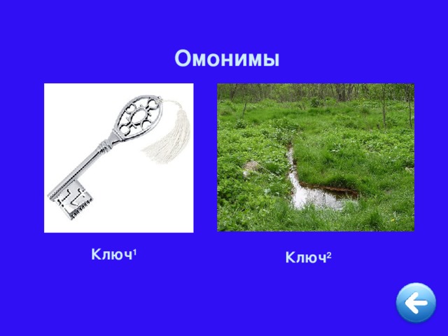 Омонимы  Ключ 1  Ключ 2