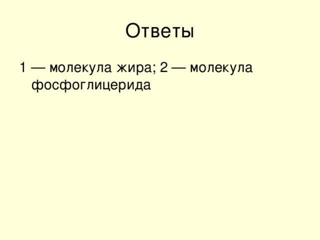 1 — молекула жира; 2 — молекула фосфоглицерида