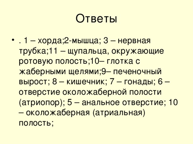 . 1 – хорда;2-мышца; 3 – нервная трубка;11 – щупальца, окружающие ротовую полость;10– глотка с жаберными щелями;9– печеночный вырост; 8 – кишечник; 7 – гонады; 6 – отверстие околожаберной полости (атриопор); 5 – анальное отверстие; 10 – околожаберная (атриальная) полость;