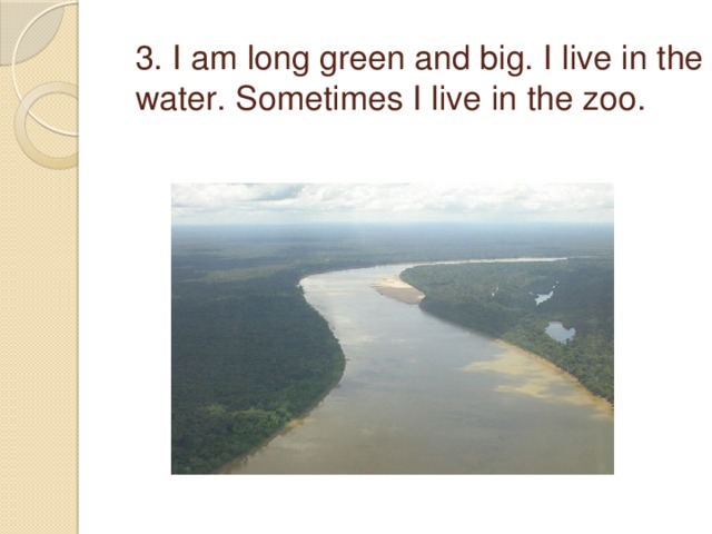 3. I am long green and big. I live in the water. Sometimes I live in the zoo.