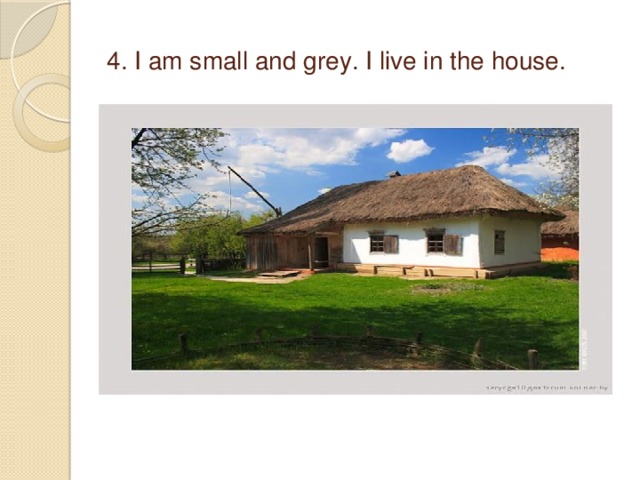 4. I am small and grey. I live in the house.