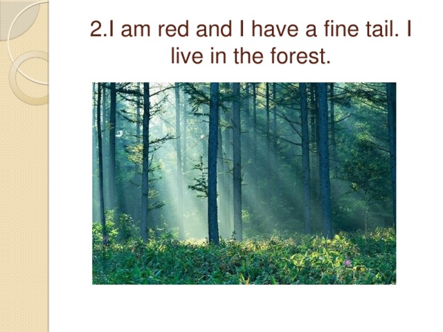 2.I am red and I have a fine tail. I live in the forest.