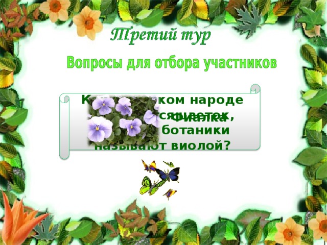 Как в русском народе называется цветок, который ботаники называют виолой? Фиалка