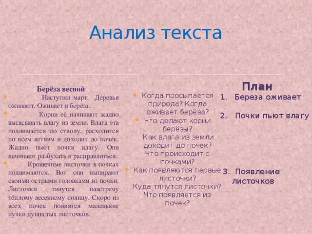 Анализ текста Берёза весной  Наступил март. Деревья оживают. Оживает и берёза.  Корни её начинают жадно высасывать влагу из земли. Влага эта поднимается по стволу, расходится по всем ветвям и доходит до почек. Жадно пьют почки влагу. Они начинают разбухать и расправляться.  Крошечные листочки в почках поднимаются. Вот они выпирают своими острыми головками из почки. Листочки тянутся навстречу тёплому весеннему солнцу. Скоро из всех почек появятся маленькие пучки душистых листочков. План Когда просыпается природа? Когда оживает берёза? Что делают корни берёзы?  Как влага из земли доходит до почек?  Что происходит с почками? Как появляются первые листочки?  Куда тянутся листочки?  Что появляется из почек?  Береза оживает 2. Почки пьют влагу  3. Появление листочков