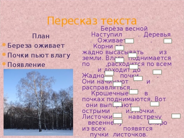 Пересказ текста Берёза весной   Наступил . Деревья . Оживает и .    Корни её жадно высасывать из земли. Влага поднимается по ,расходится по всем и доходит до . Жадно почки . Они начинают и расправляться.   Крошечные в почках поднимаются. Вот они выпирают острыми из почки. Листочки навстречу весеннему . Скоро из всех появятся пучки листочков. План