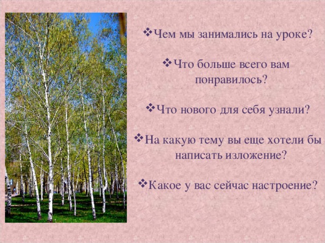 Чем мы занимались на уроке? Что больше всего вам понравилось? Что нового для себя узнали? На какую тему вы еще хотели бы написать изложение? Какое у вас сейчас настроение?